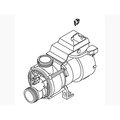 Kohler Pump, 120V, Usa 1420895
